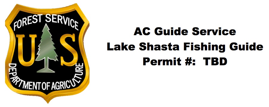 forest service sheild with permit jpg